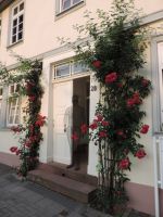 Drahtmann_Wetzlar_2013-07-02-0893