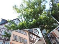 Drahtmann_Wetzlar_2013-07-07-DSCN1275