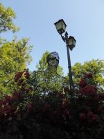 Drahtmann_Wetzlar_2013-07-07-DSCN1380